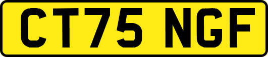 CT75NGF