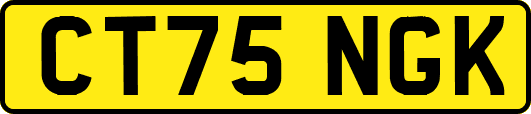 CT75NGK