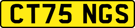 CT75NGS