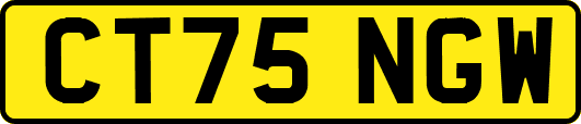 CT75NGW
