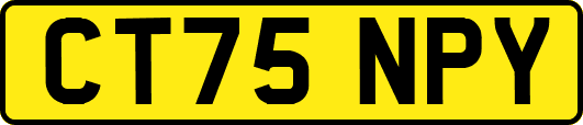 CT75NPY
