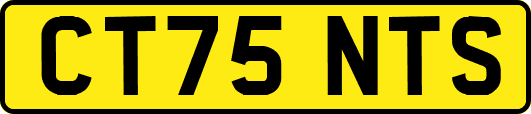 CT75NTS