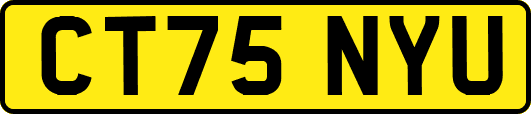 CT75NYU