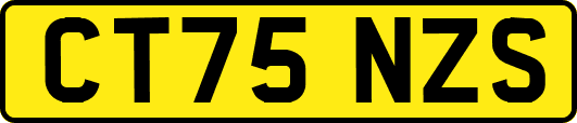 CT75NZS