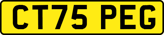 CT75PEG