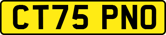 CT75PNO