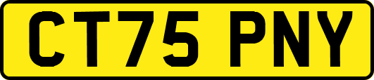 CT75PNY