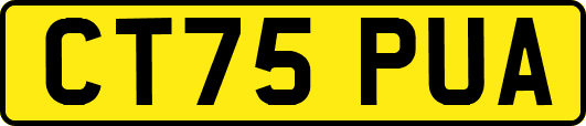 CT75PUA