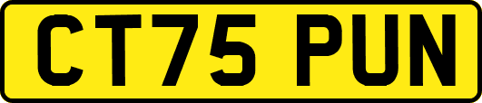 CT75PUN