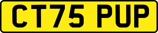 CT75PUP