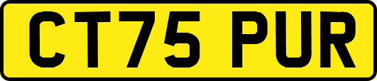 CT75PUR