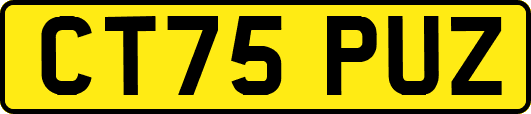CT75PUZ