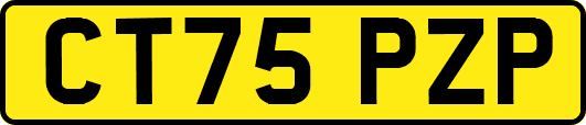 CT75PZP