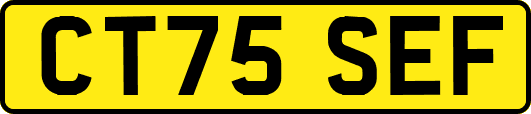 CT75SEF