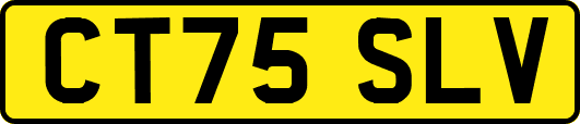 CT75SLV