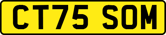 CT75SOM