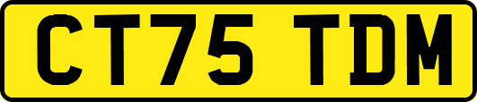 CT75TDM