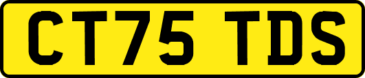 CT75TDS