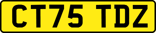 CT75TDZ