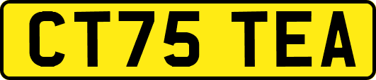 CT75TEA