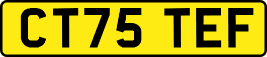 CT75TEF