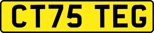 CT75TEG