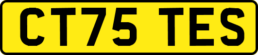 CT75TES