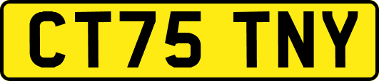 CT75TNY