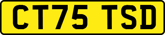 CT75TSD