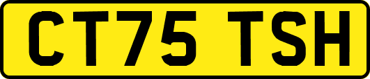 CT75TSH