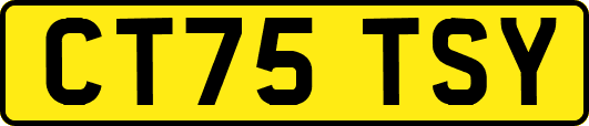 CT75TSY