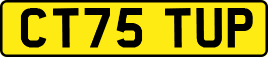 CT75TUP