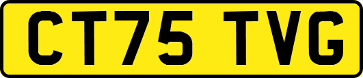 CT75TVG