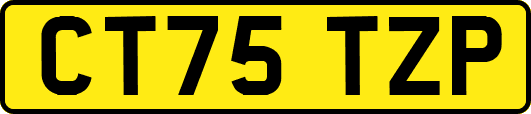 CT75TZP