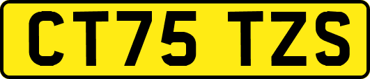 CT75TZS