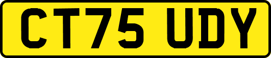 CT75UDY