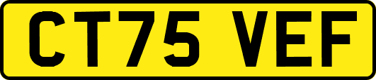 CT75VEF