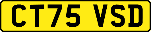CT75VSD