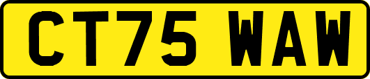 CT75WAW