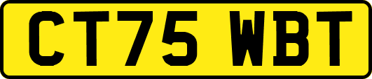 CT75WBT
