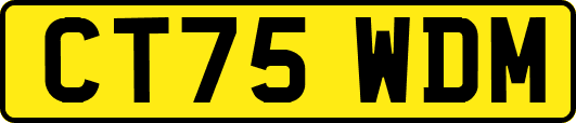 CT75WDM