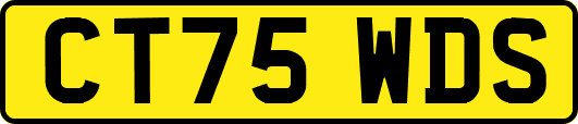 CT75WDS