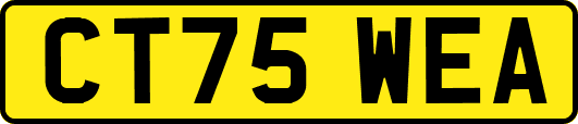 CT75WEA