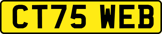 CT75WEB