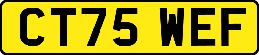 CT75WEF