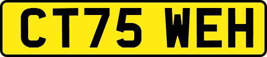 CT75WEH
