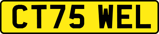 CT75WEL