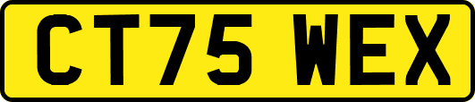 CT75WEX