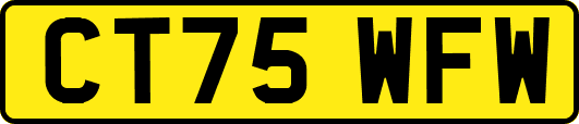 CT75WFW
