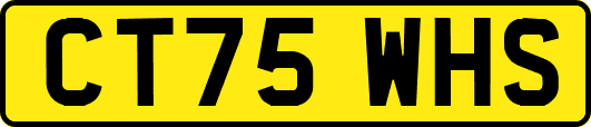 CT75WHS